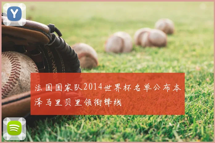 法国国家队2014世界杯名单公布本泽马里贝里领衔锋线