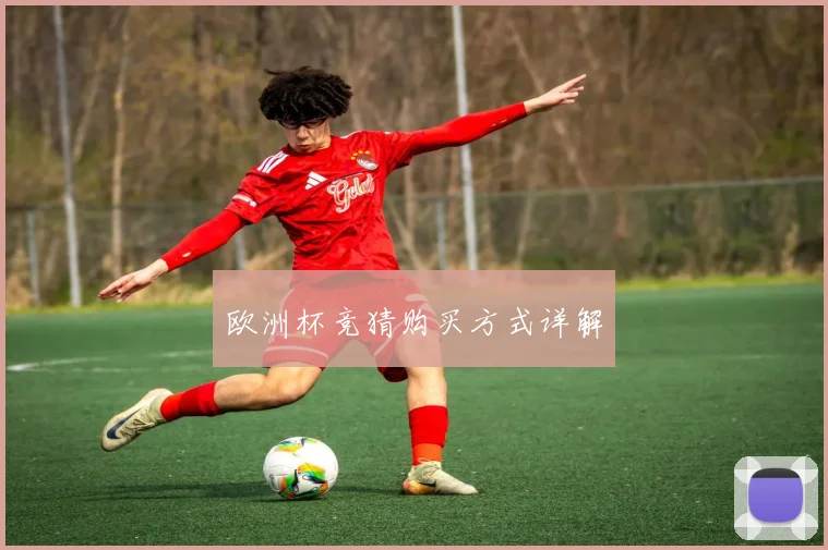 欧洲杯竞猜购买方式详解